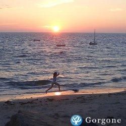 cliquez ici pour agrandir les photos de cette location à noirmoutier